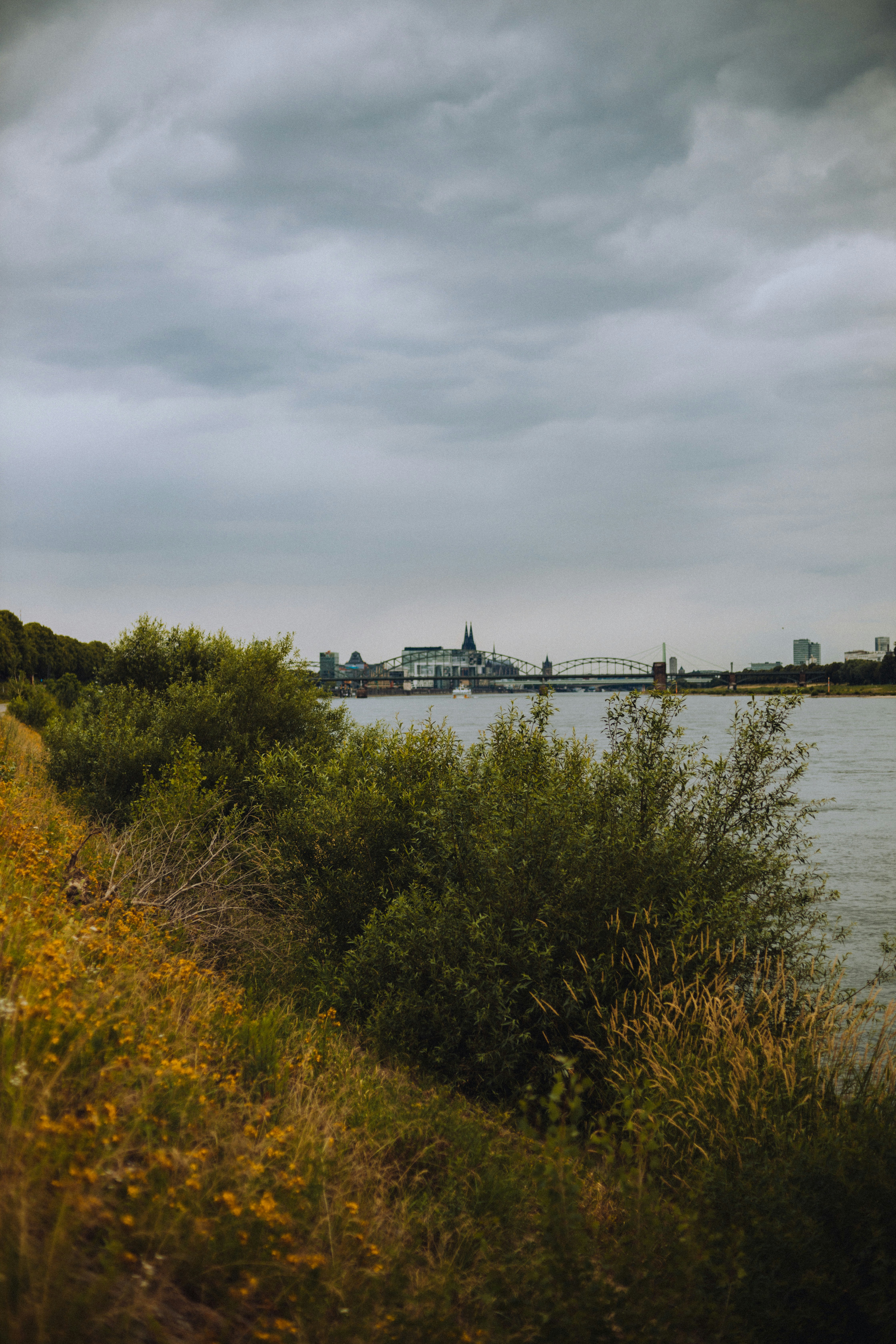 Photo by larathecurious