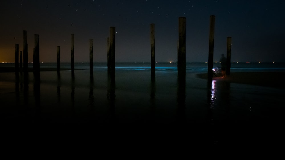 brown wooden posts on sea water during daytime