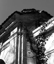 A detailed view of an aged stone structure covered in climbing ivy. The architecture features elaborate carvings, with shadows accentuating the textures and depth. The presence of ivy suggests the building's age and the passage of time.
