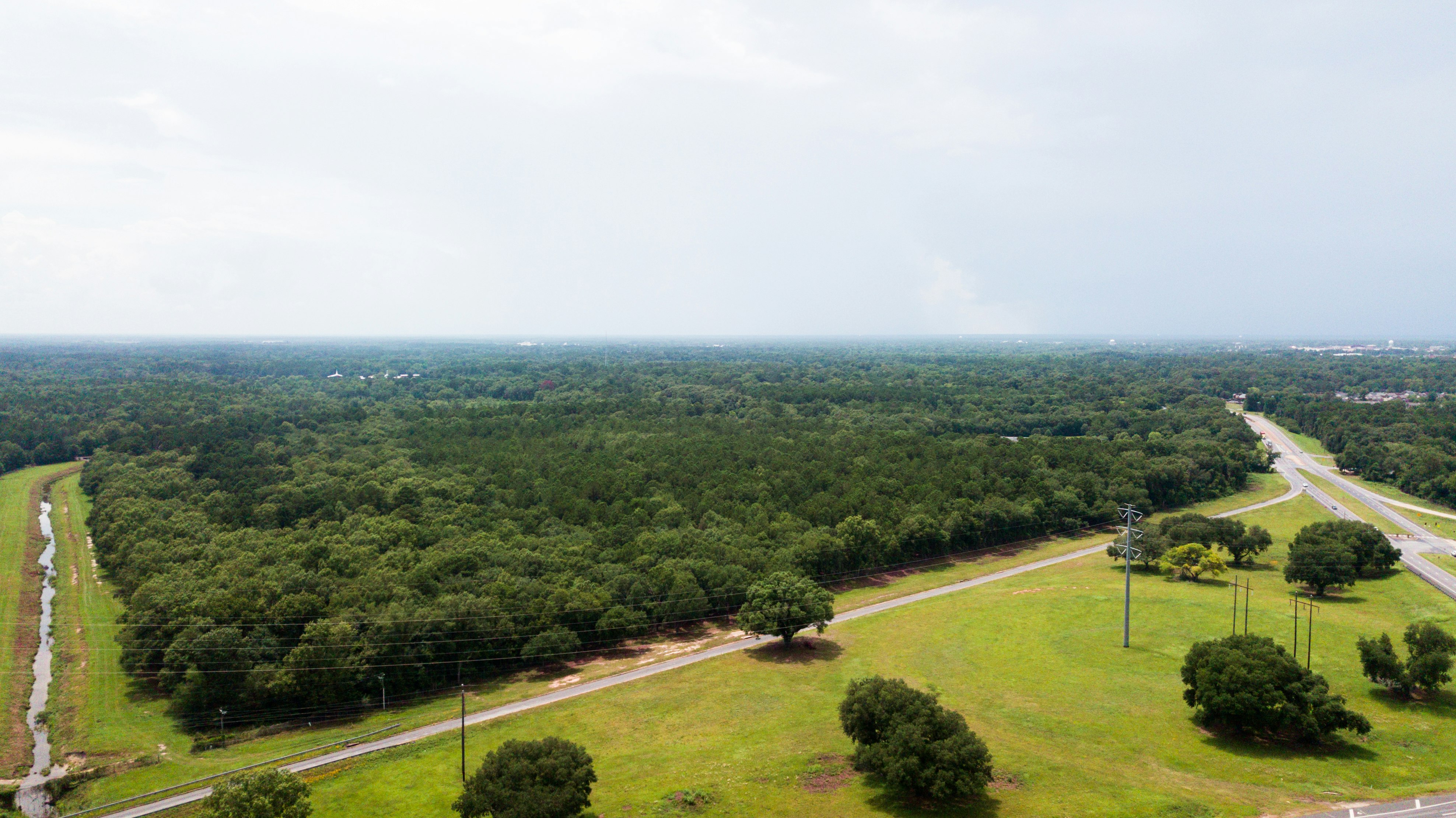 green trees on green grass field under white sky during daytime