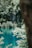 A serene landscape featuring a tranquil turquoise lake surrounded by lush green foliage. Delicate waterfalls cascade down a rocky slope in the background, adding to the natural beauty. The scene is partially framed by a tree trunk and leafy branches.
