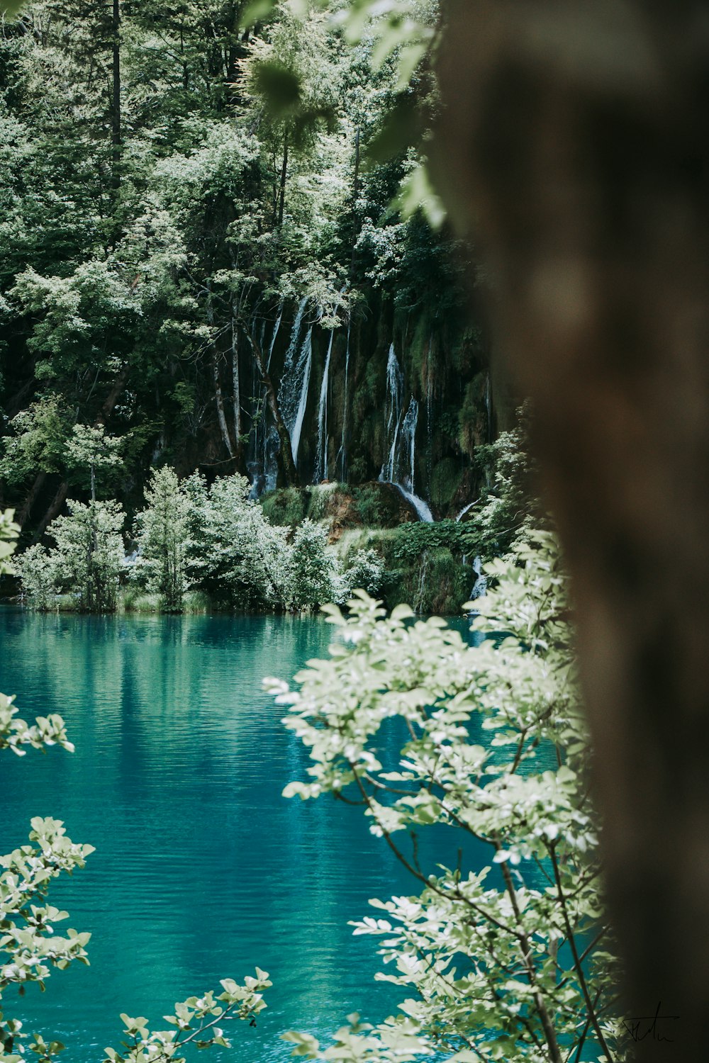 낮에는 푸른 나무로 둘러싸인 푸른 호수