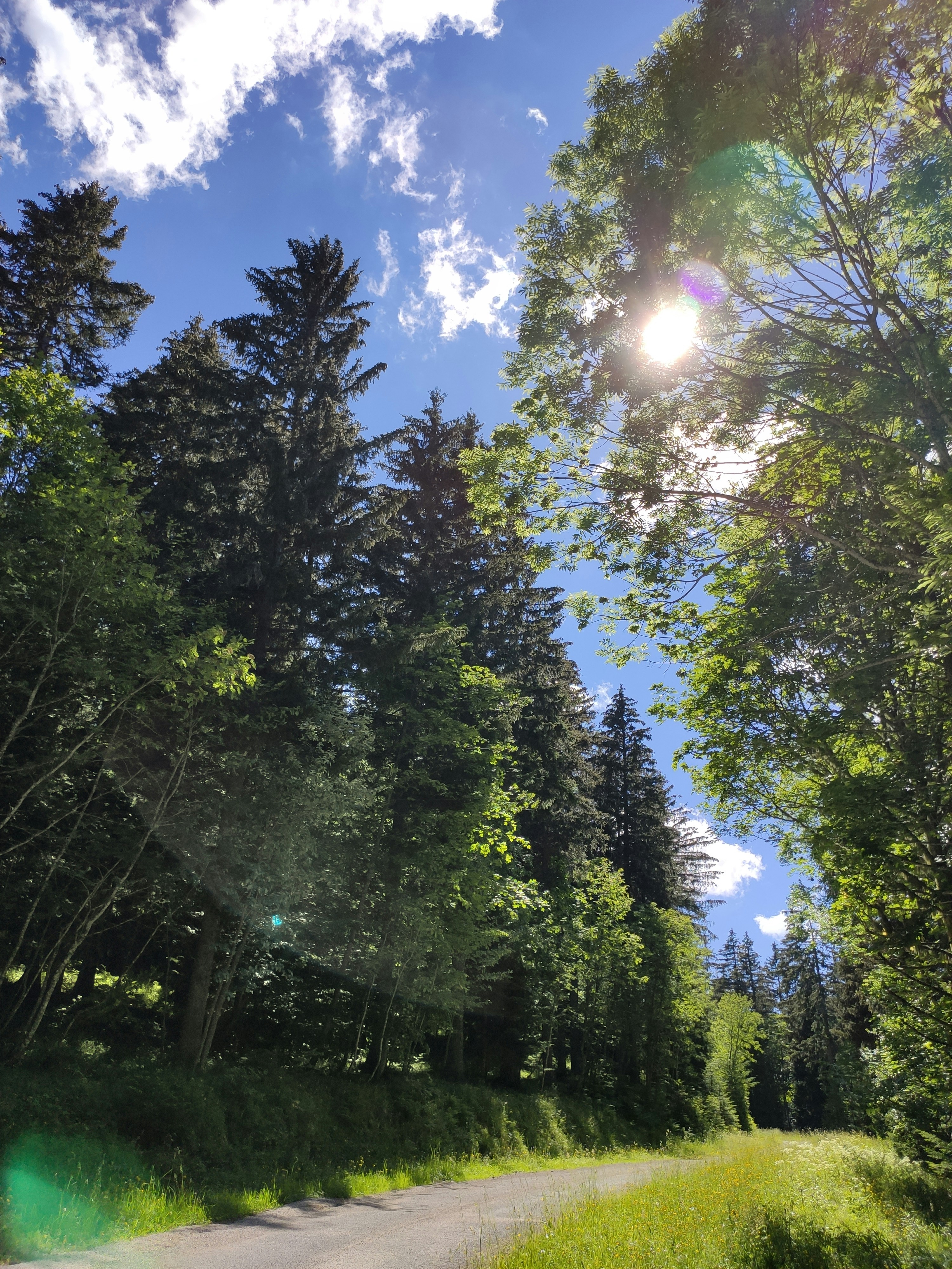 Photo by quentindel73