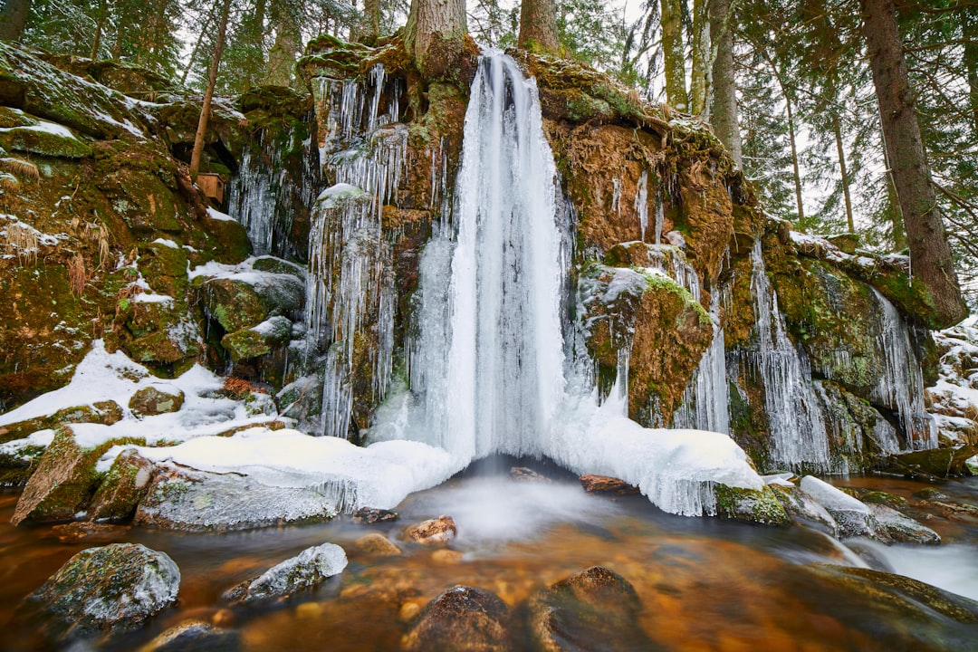 water falls in the middle of the forest