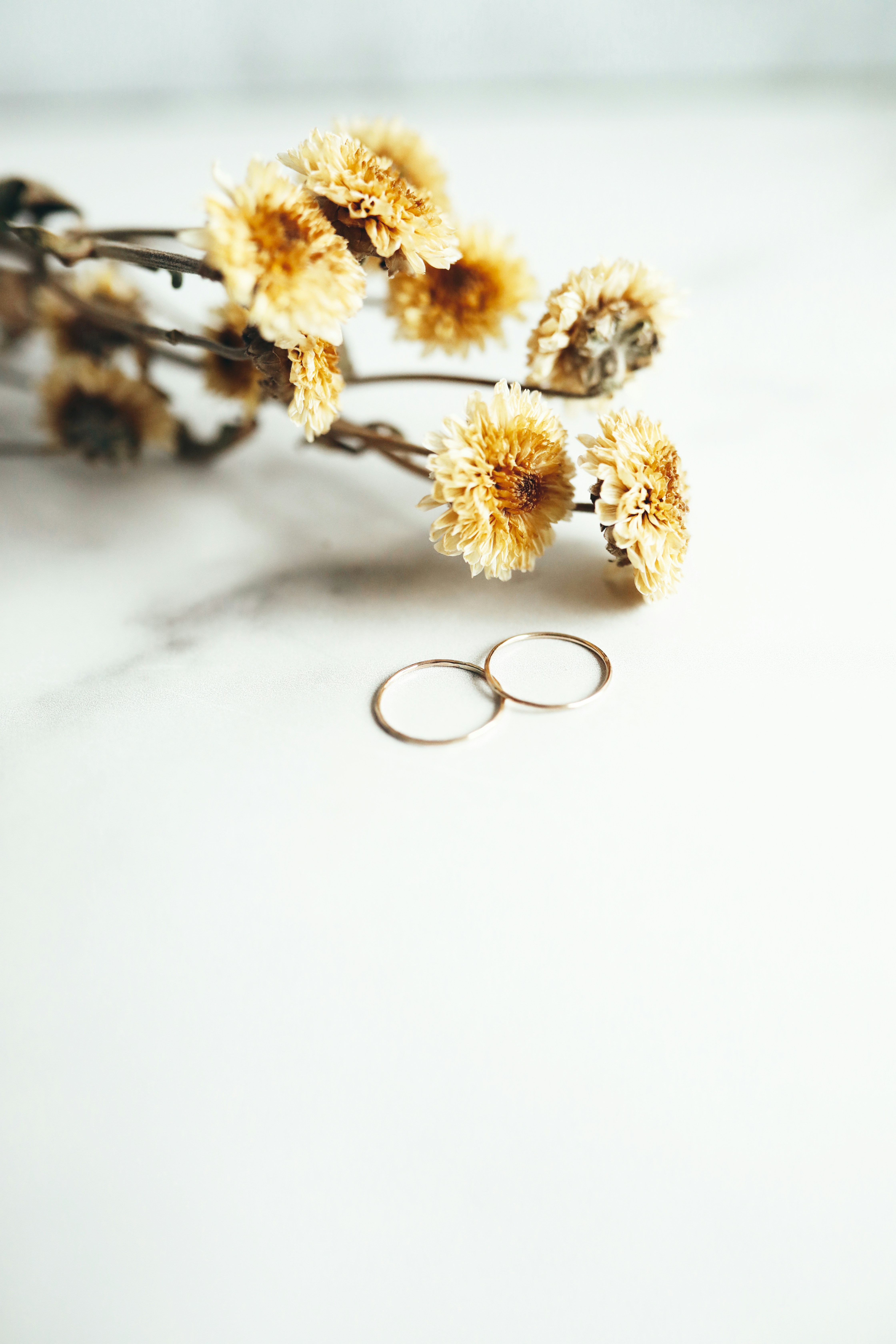 Photo by linaverovaya