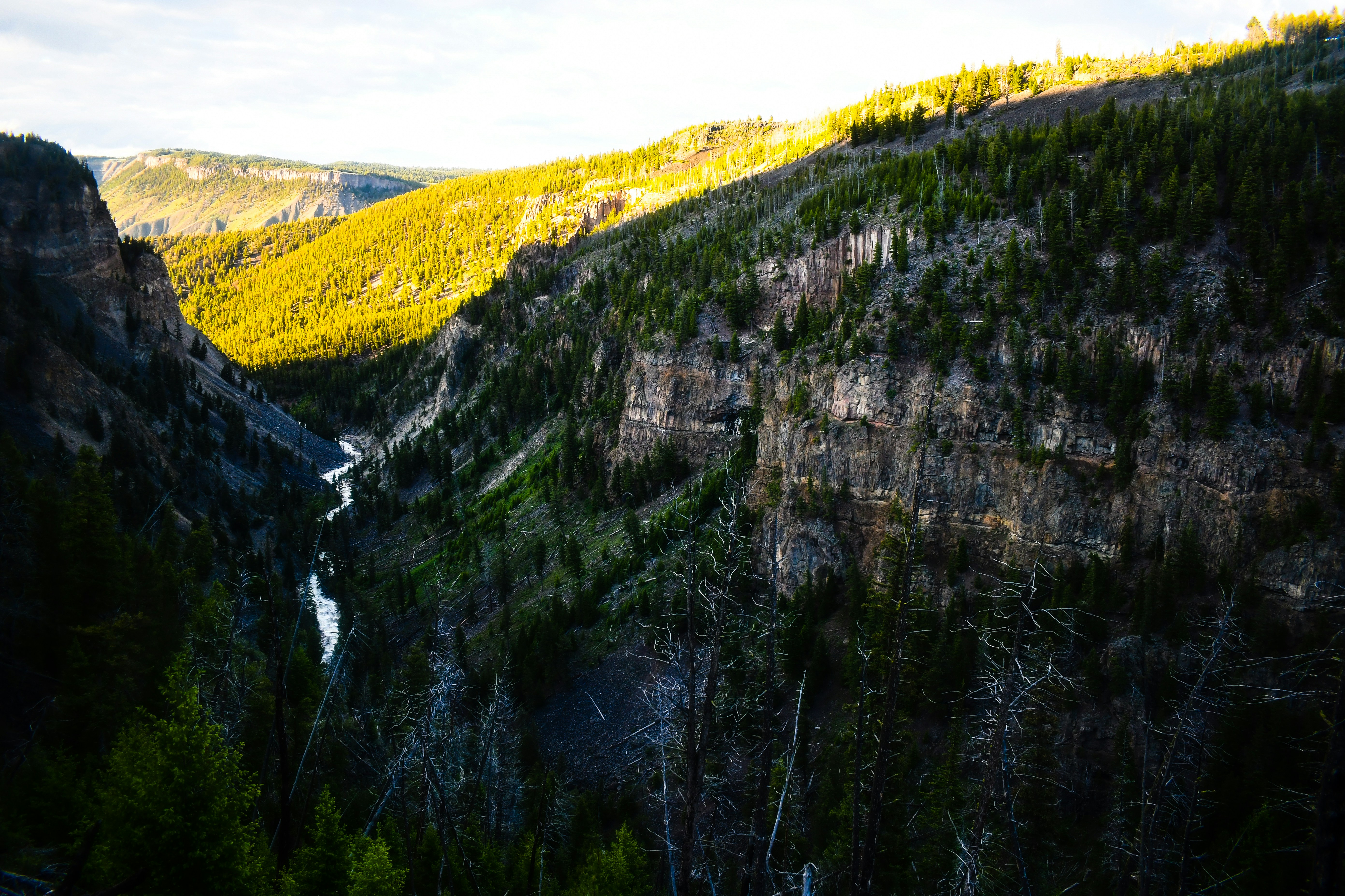 Photo by jackcharles