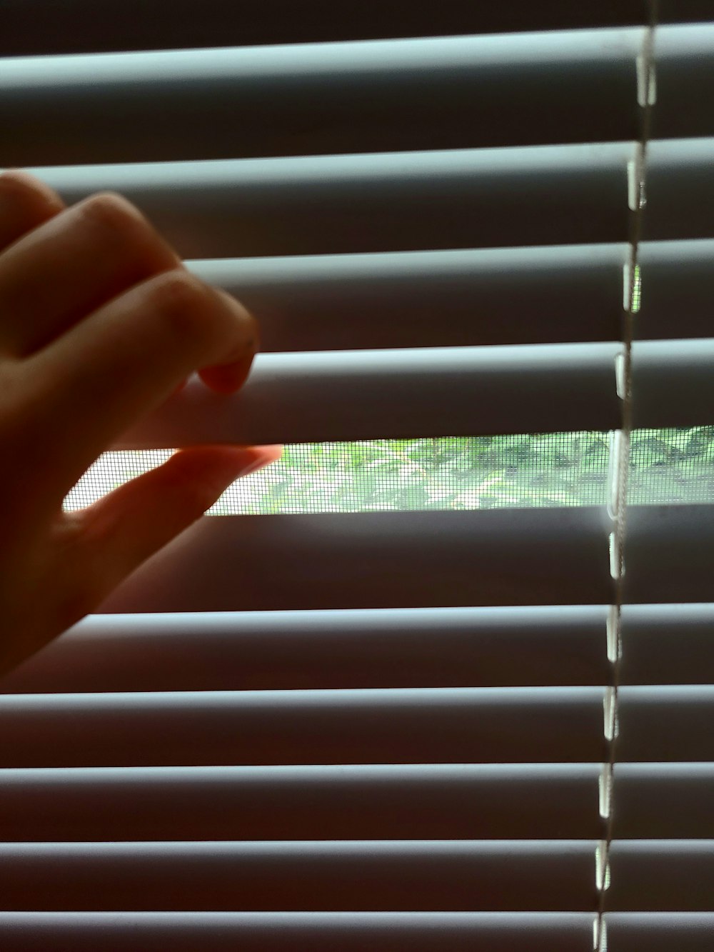 person holding white window blinds