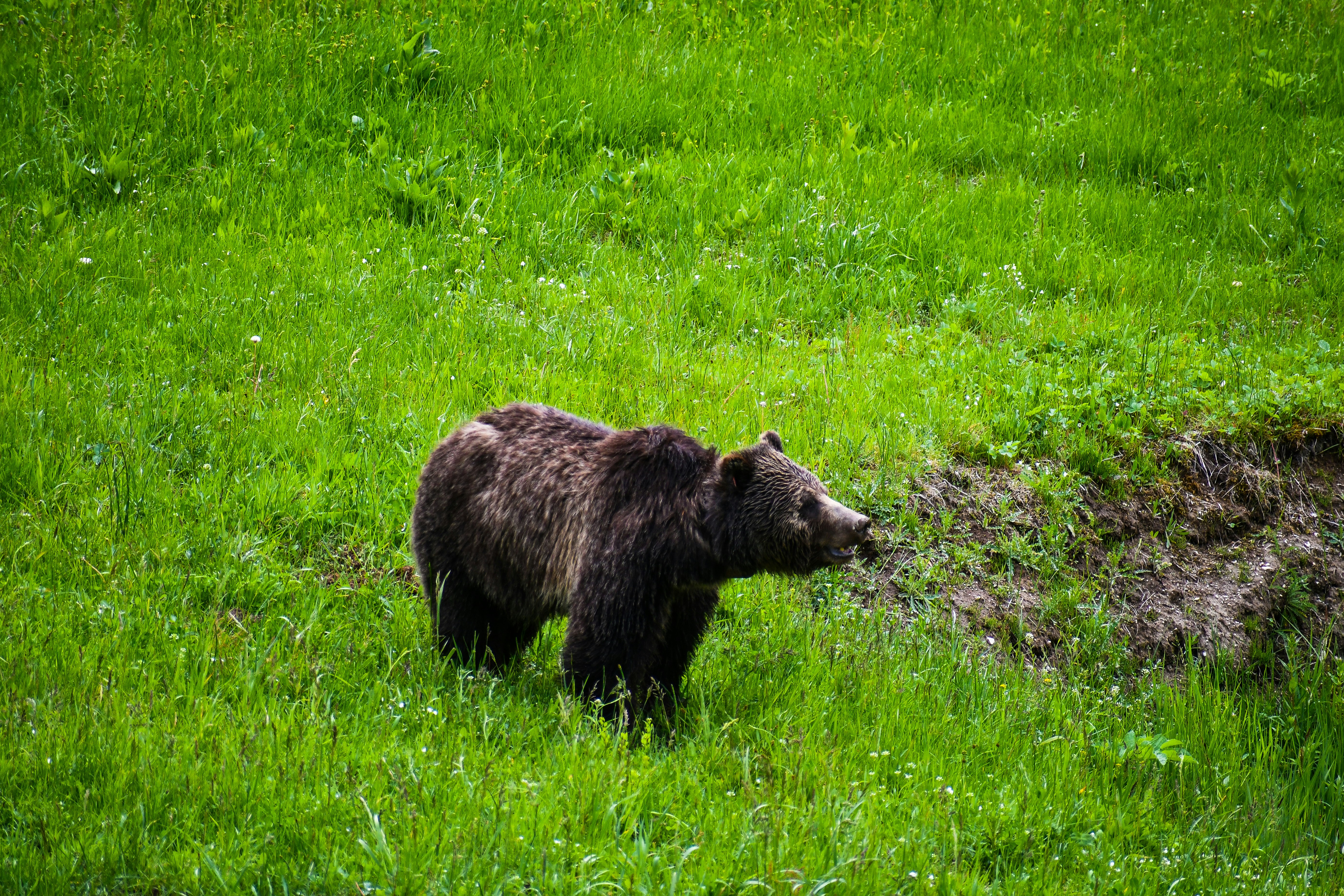 Photo by jackcharles