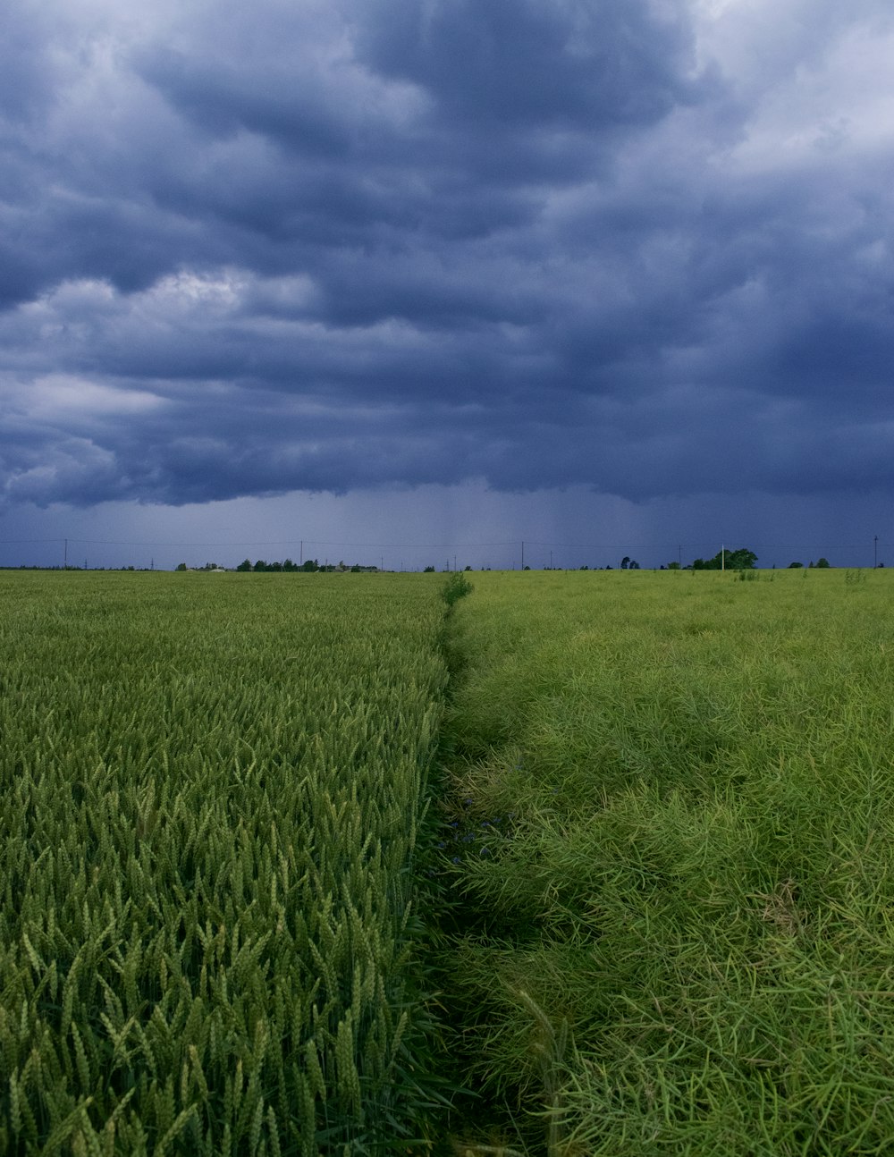 green grass field under cloudy sky during daytime