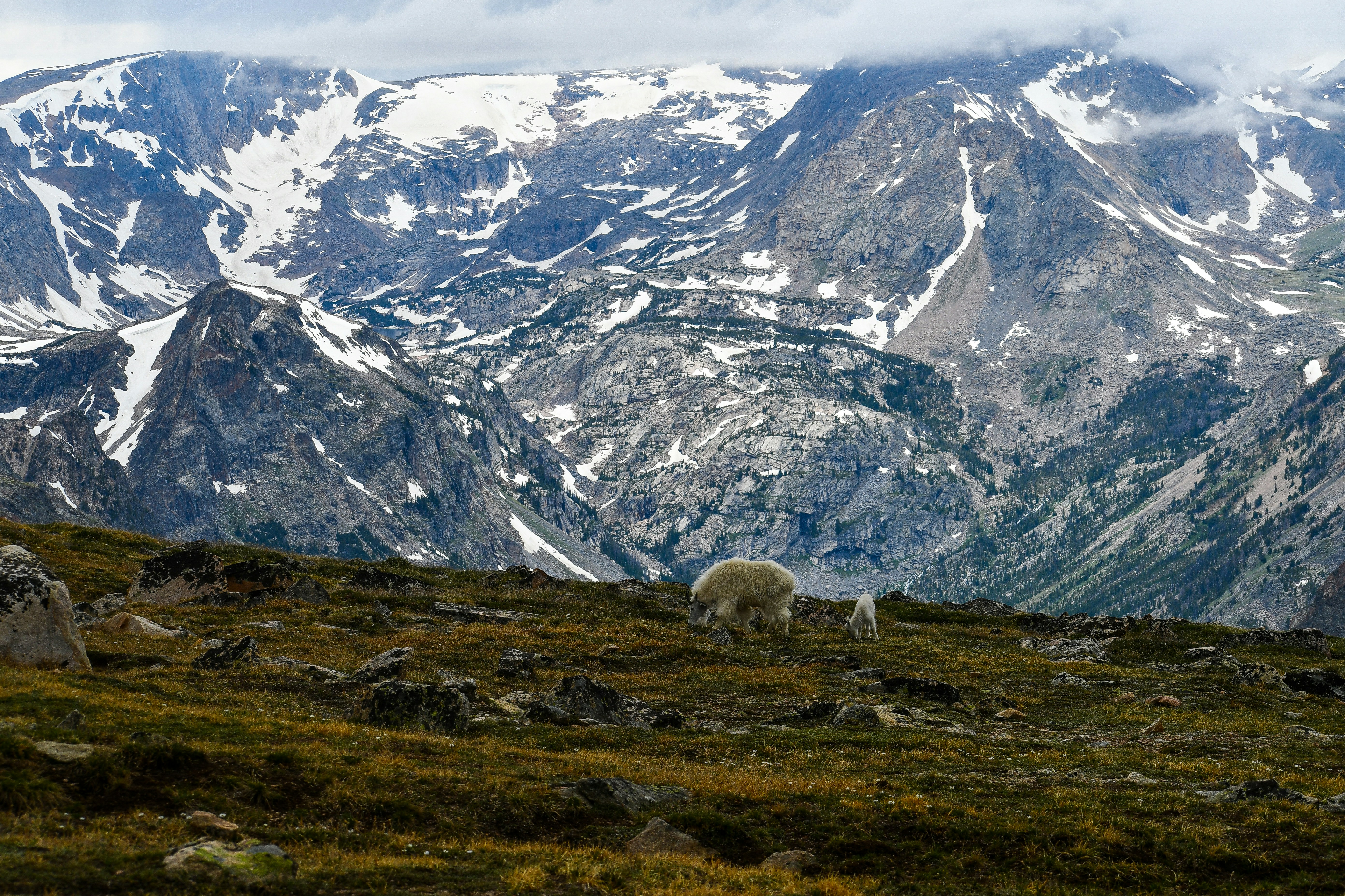 Photo by jackcharles