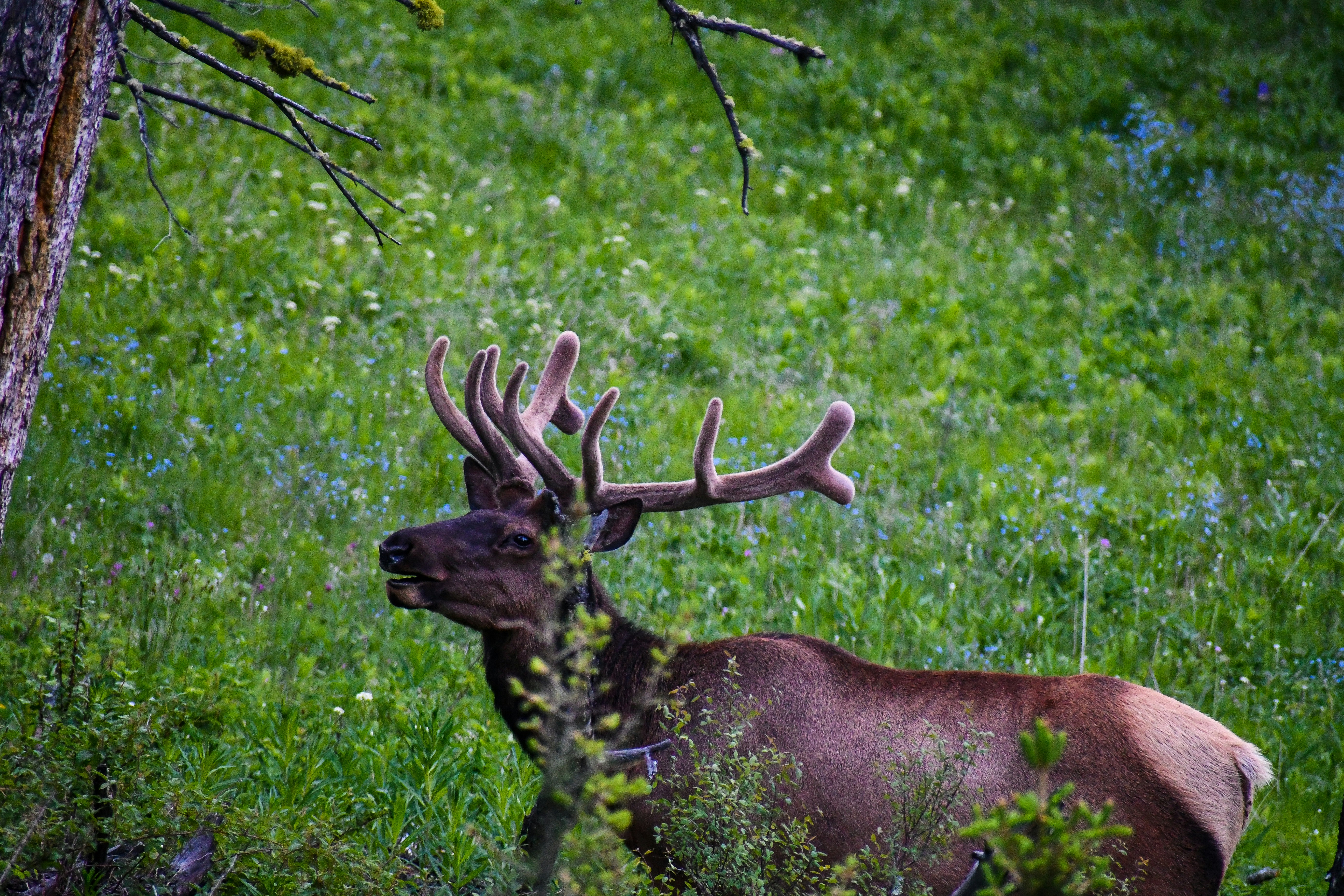 Photo by jackcharles