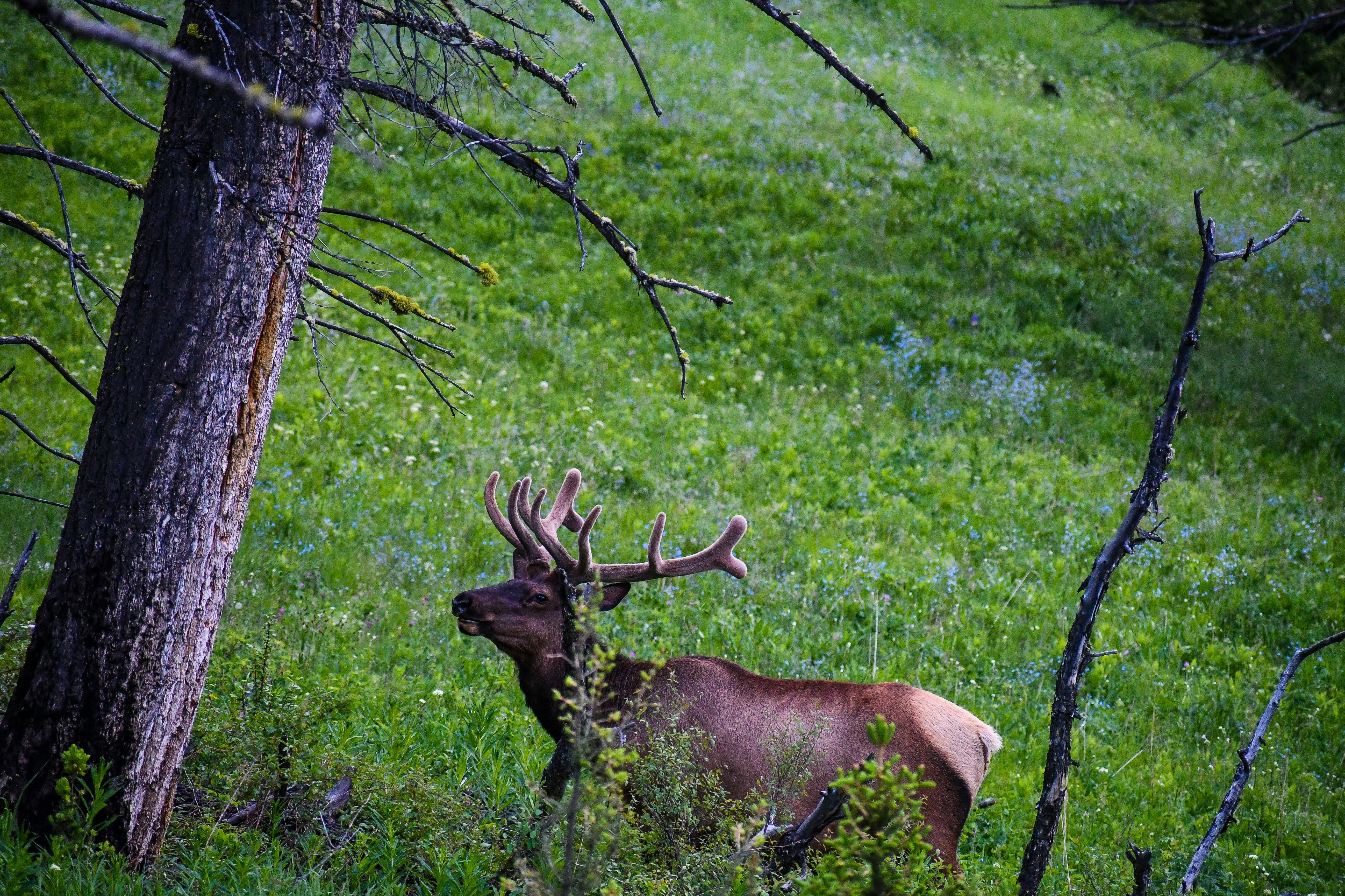 Photo by jackcharles