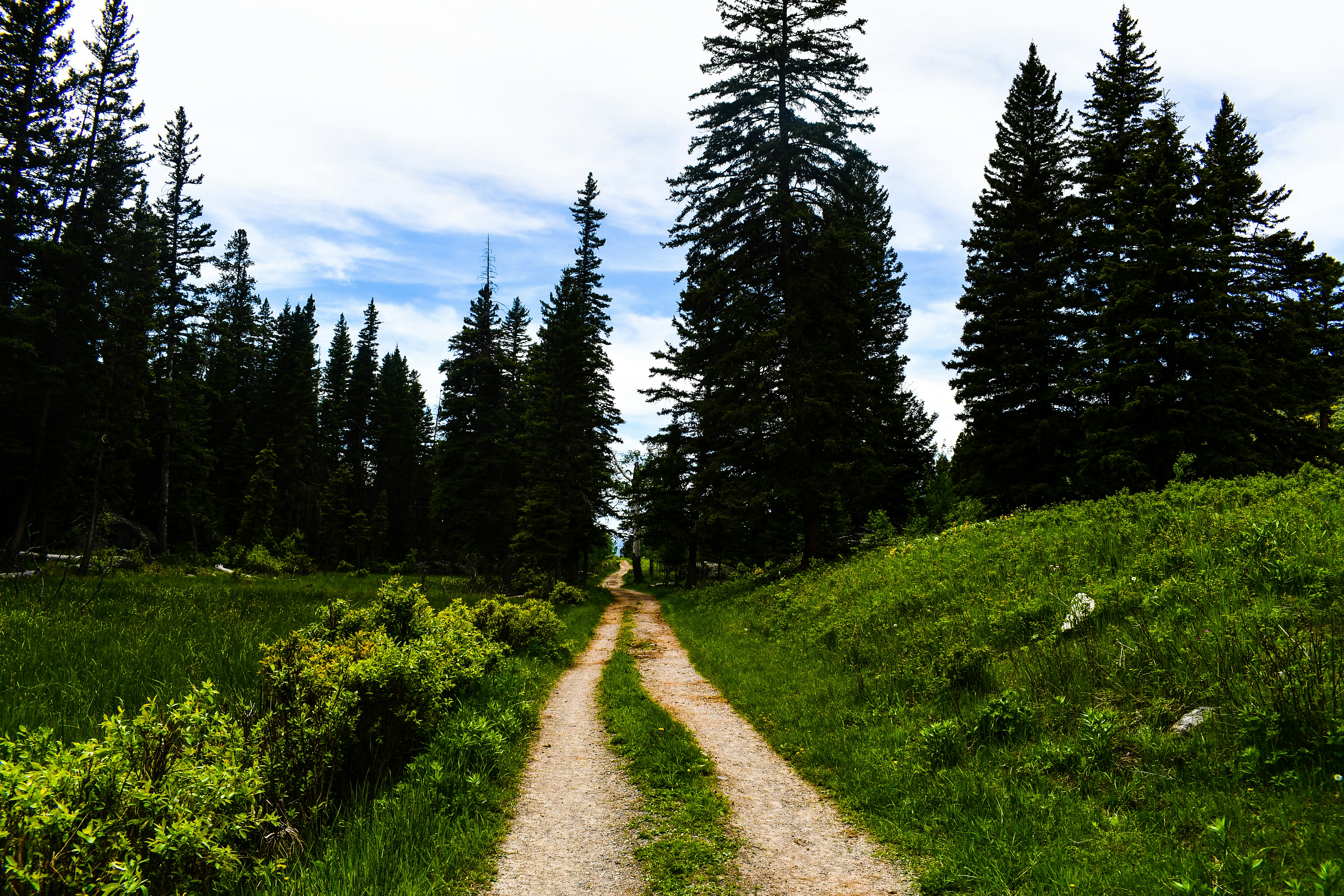 Photo by jackcharles