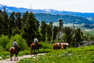 Guests enjoying horseback riding along a forest trail with the mountains towering behind them.