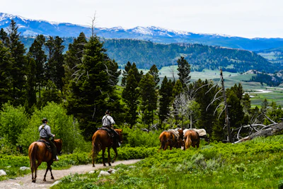Guests enjoying horseback riding along a forest trail with the mountains towering behind them.