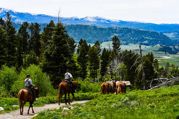 Guests horseback riding along a scenic trail with snow-capped mountains towering in the distance under a clear blue sky.