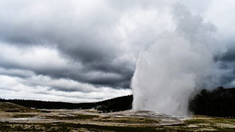 A geyser is erupting in a natural landscape, surrounded by grassy plains and a line of dark trees in the distance. Large clouds fill the sky, creating a dramatic atmosphere with the rising steam from the geyser blending into the sky.