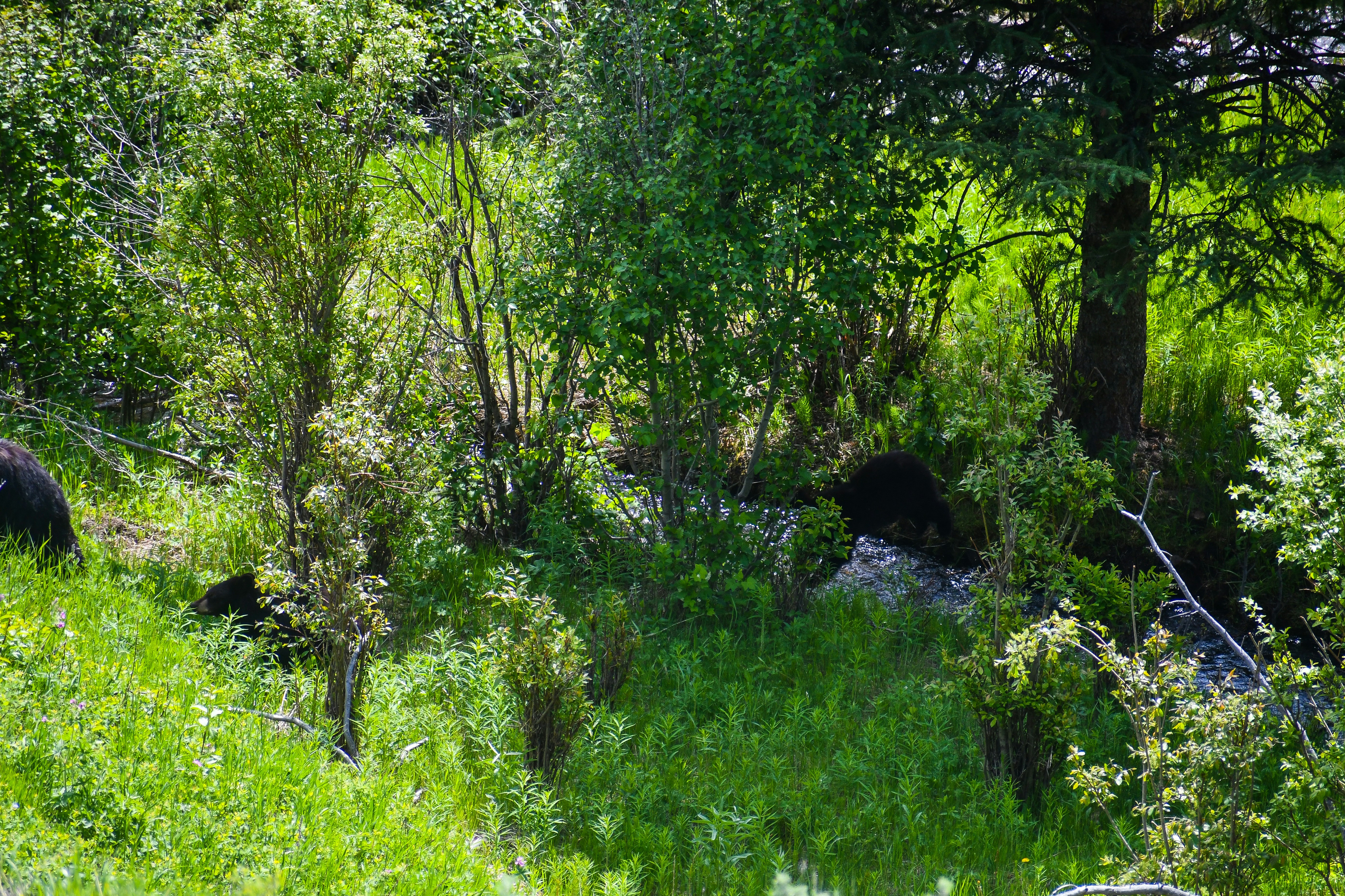 Photo by jackcharles