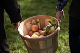 Happy customer handing over a basket of apples at the barn