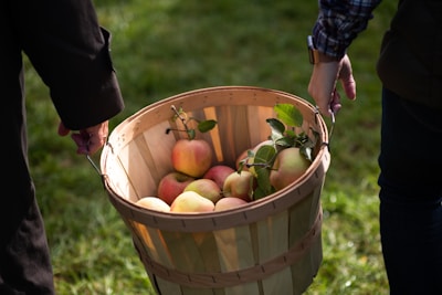 Happy customer handing over a basket of apples at the barn
