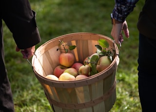 green and red apples in brown wooden bucket