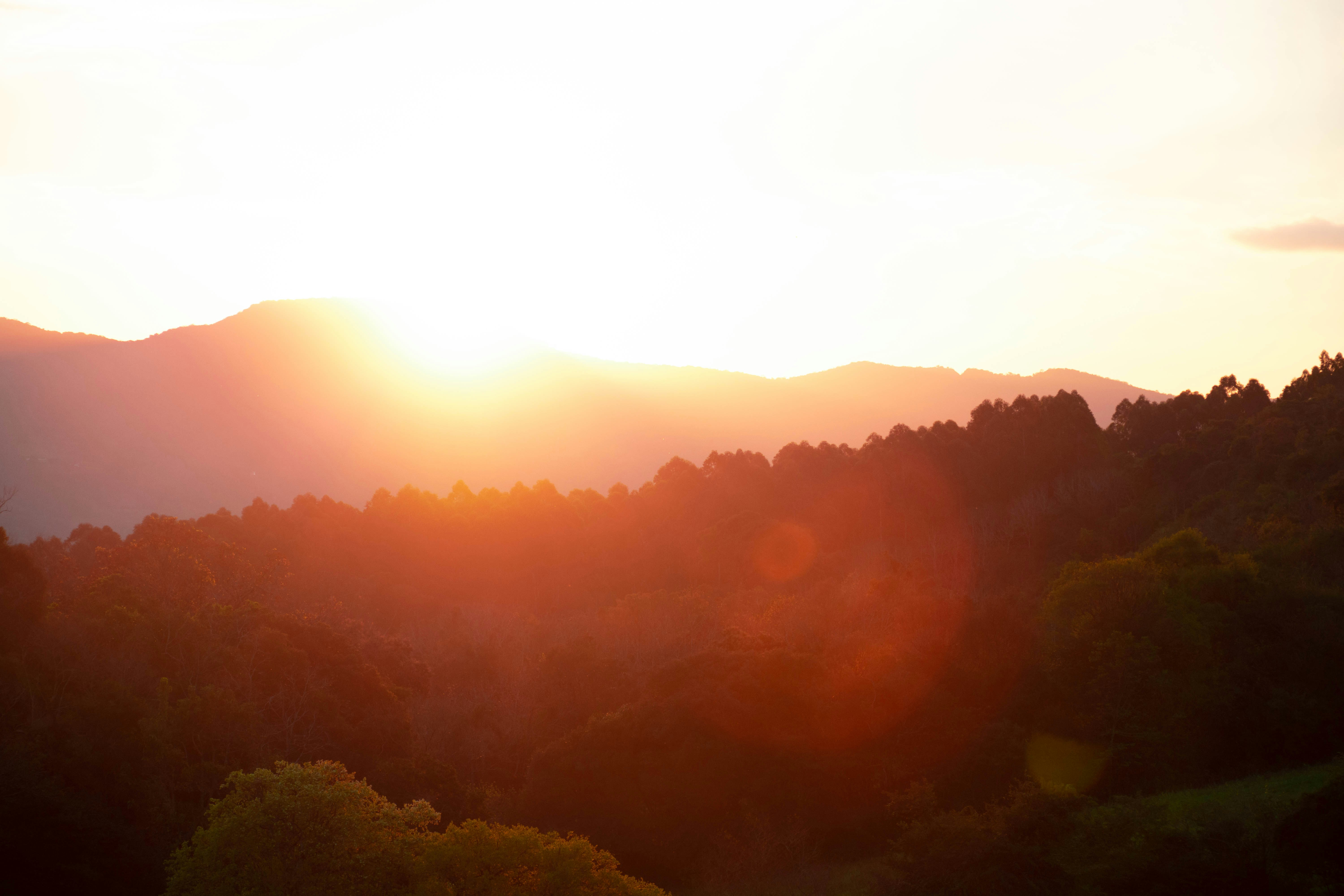 Photo by lucasgwendt