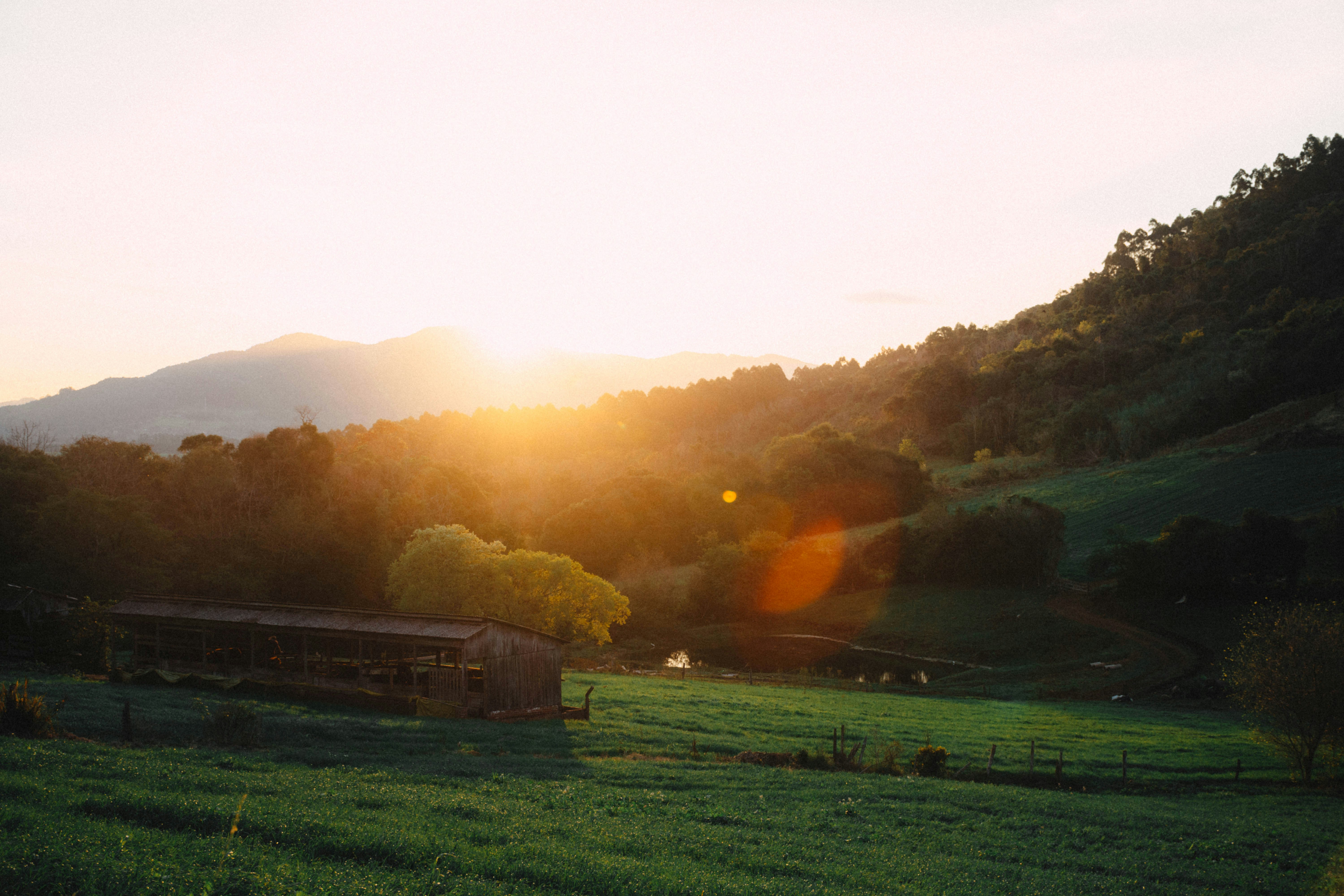 Photo by lucasgwendt