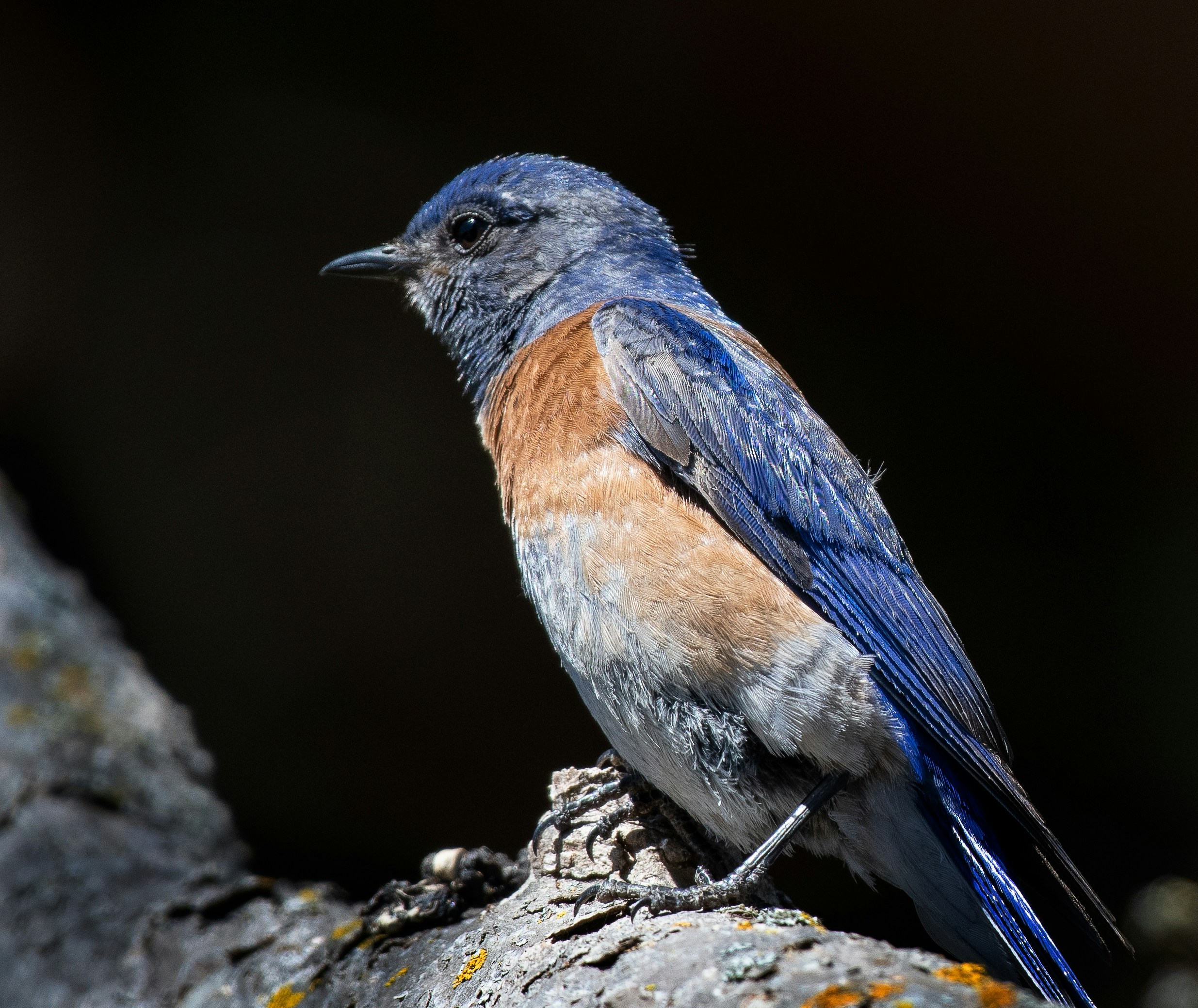 Photo by msfeather12