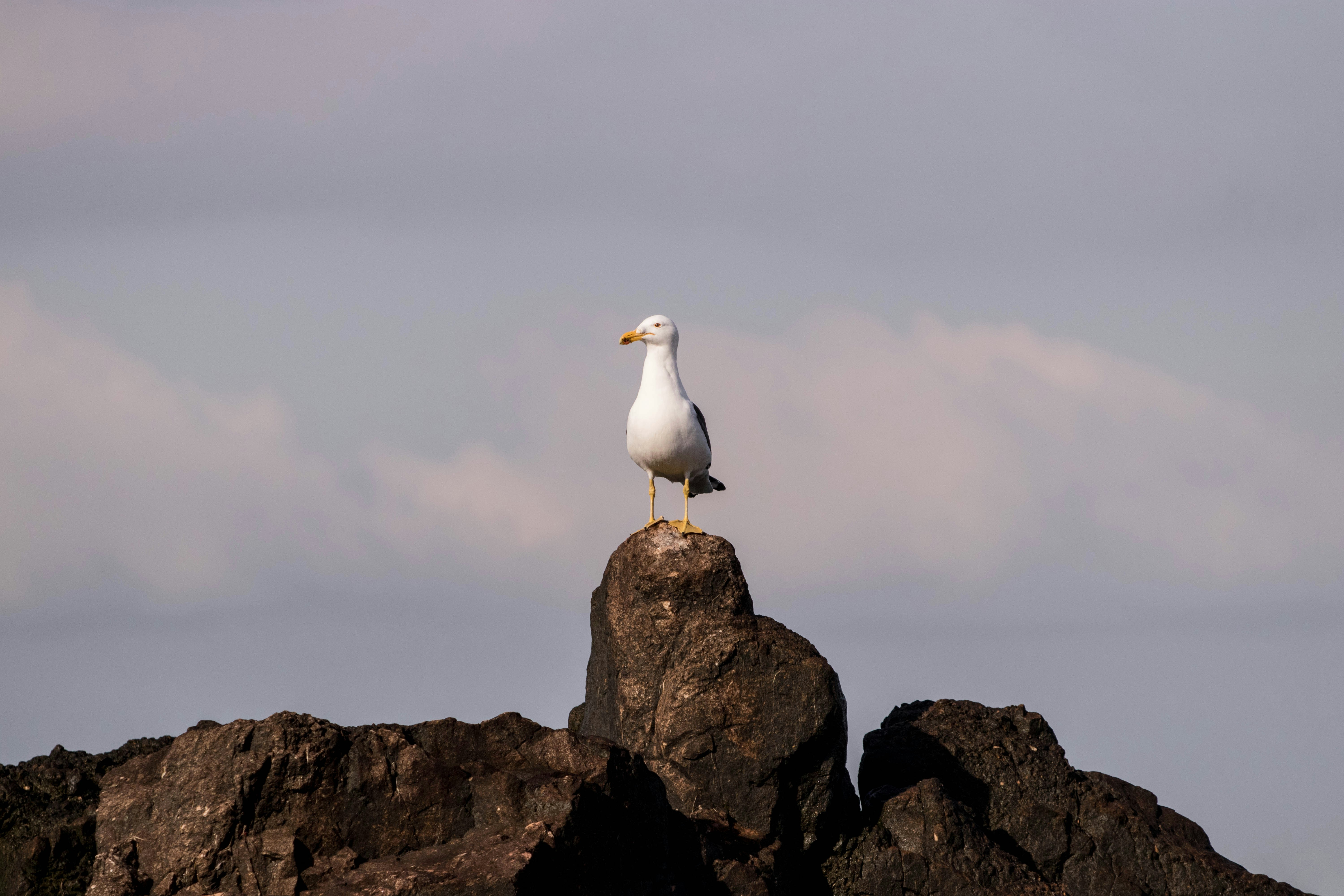 Photo by sonianadales