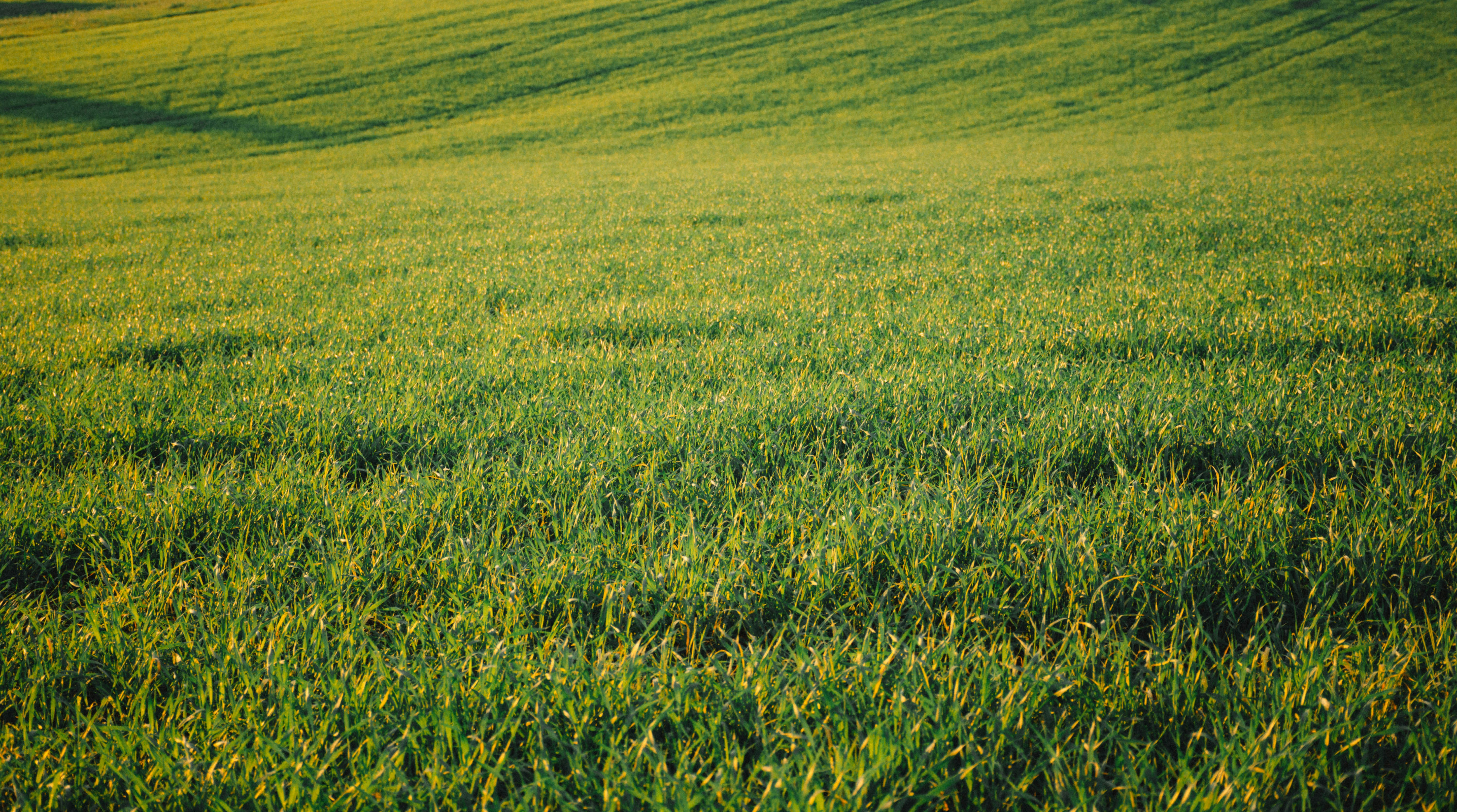 Photo by lucasgwendt