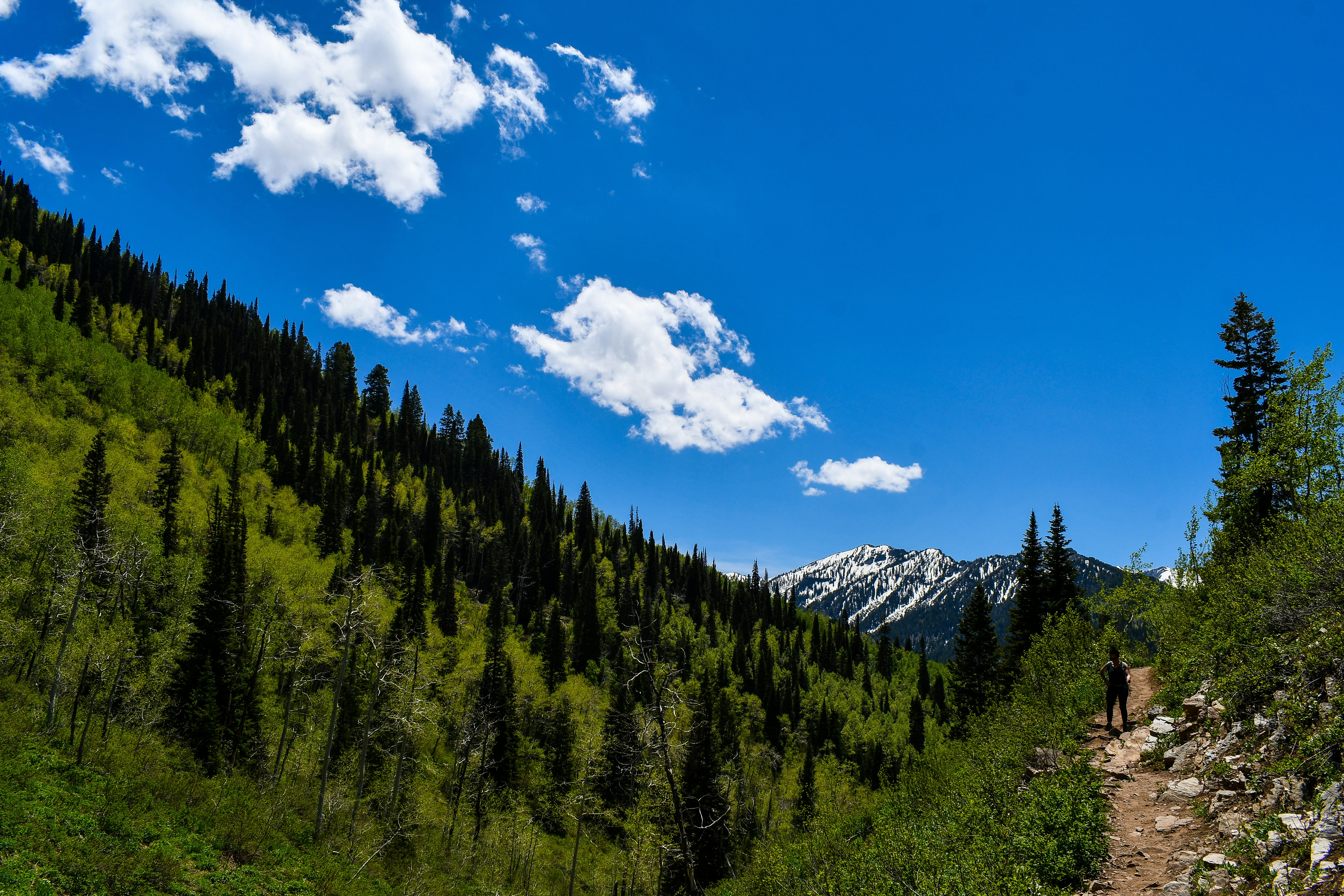 Photo by jackcharles