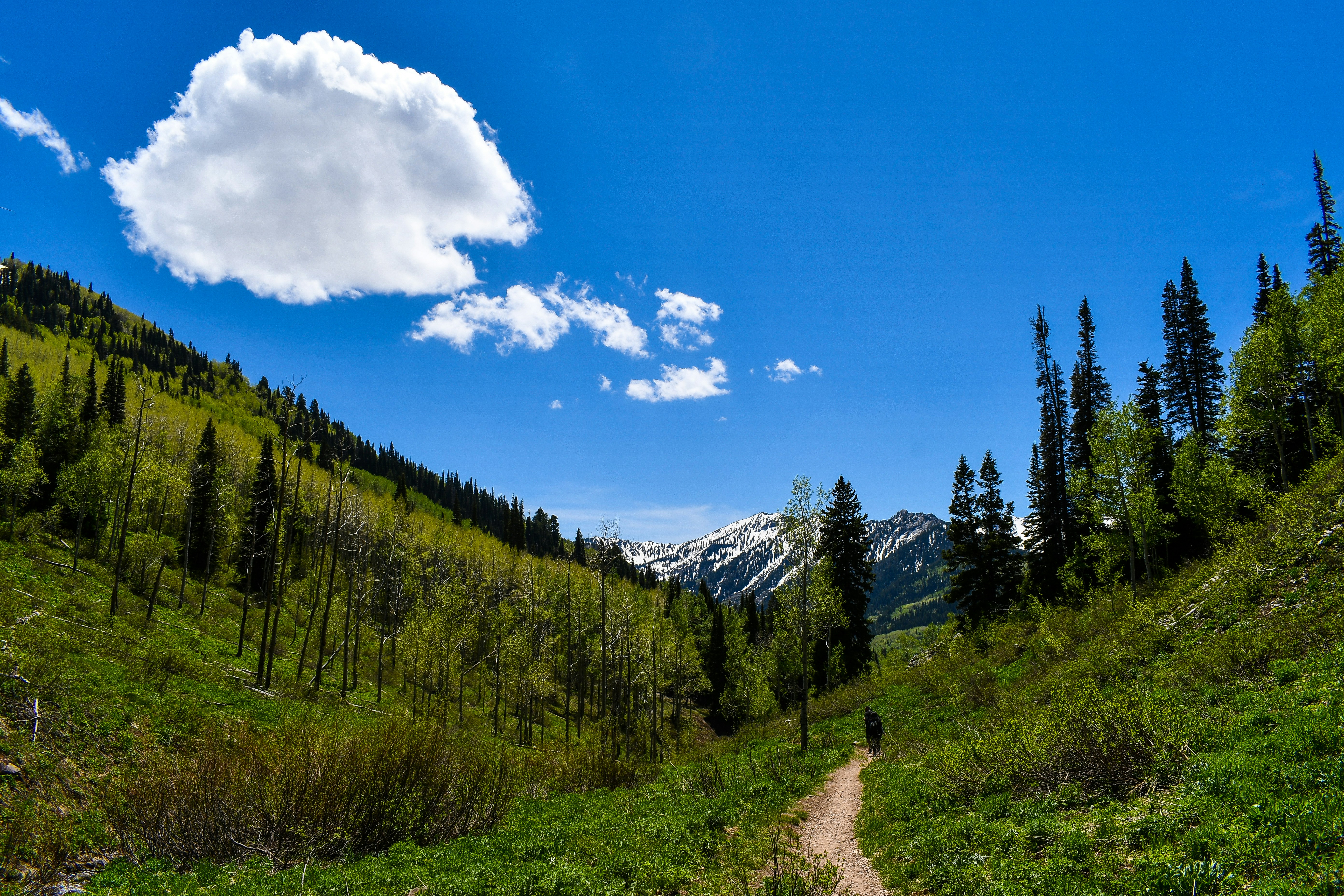 Photo by jackcharles