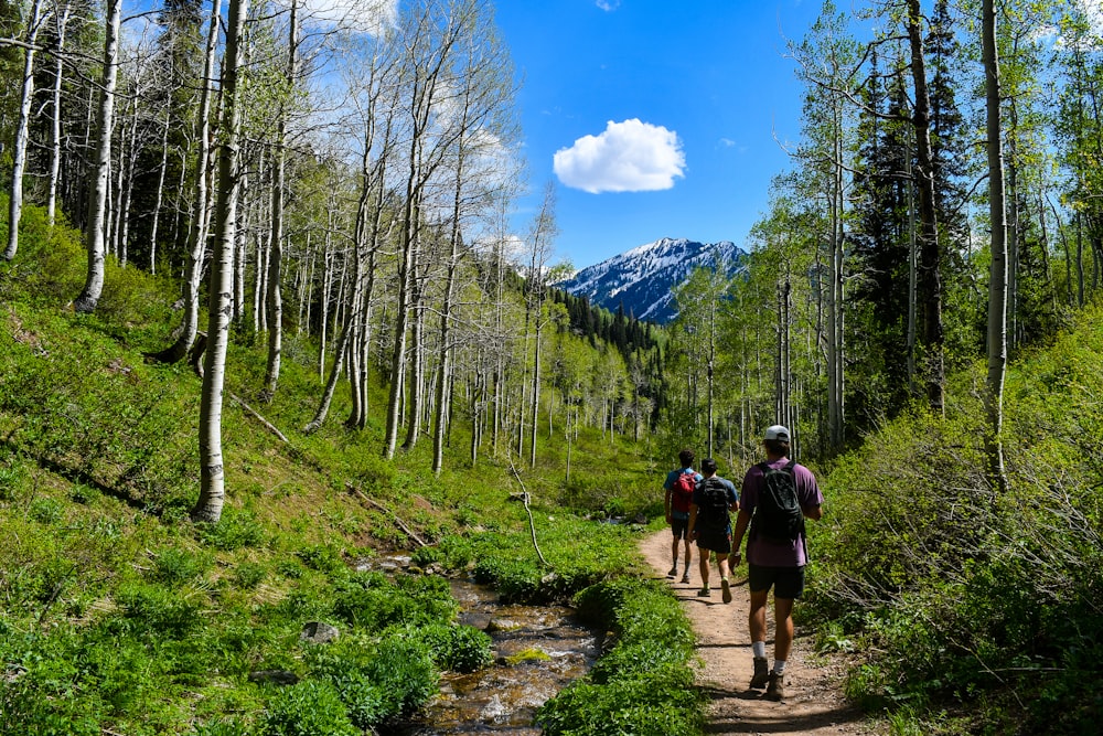 people walking on dirt road between green trees during daytime