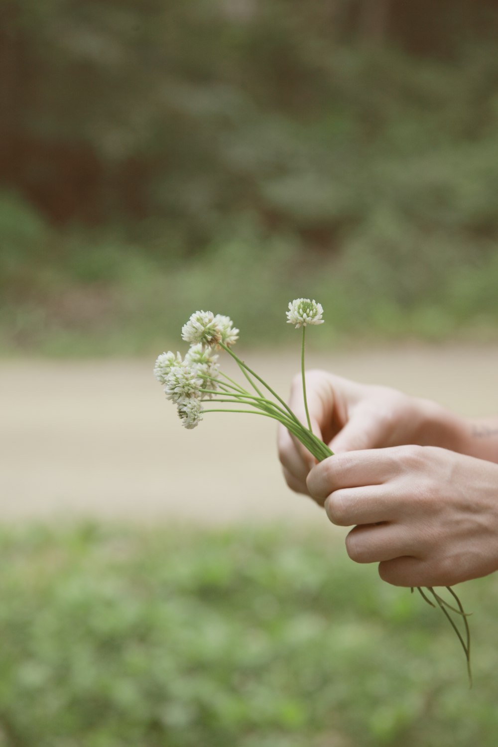 person holding white flower during daytime