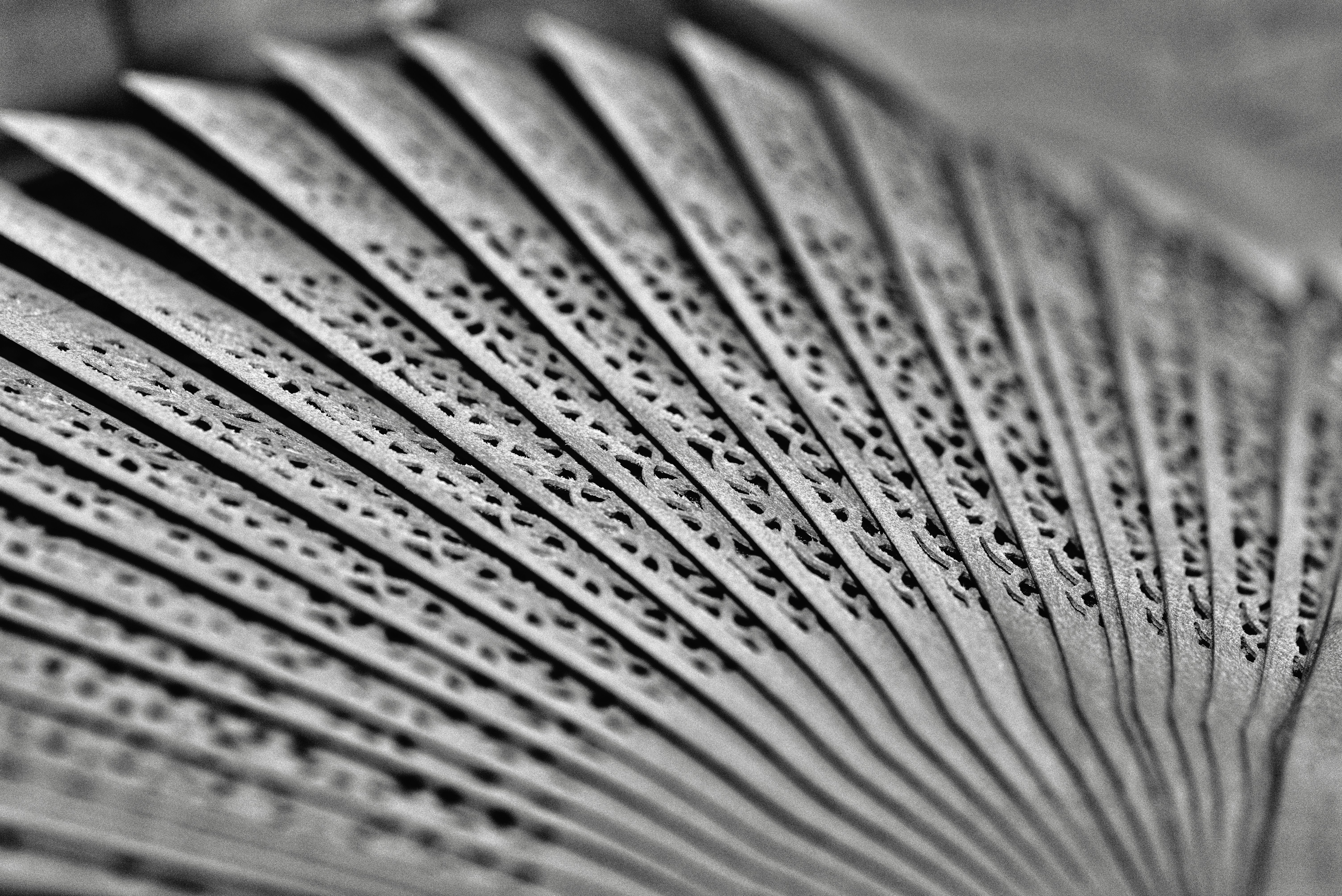 photo 1593561023934 740a70a4c82a?ixlib=rb 4.0