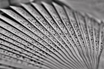 A detailed view of a traditional hand fan with intricate, symmetrical cutout patterns on its wooden blades. The fan is partially open, revealing the repetitive floral motifs carved into each slat, arranged in a radial manner from the center hinge.