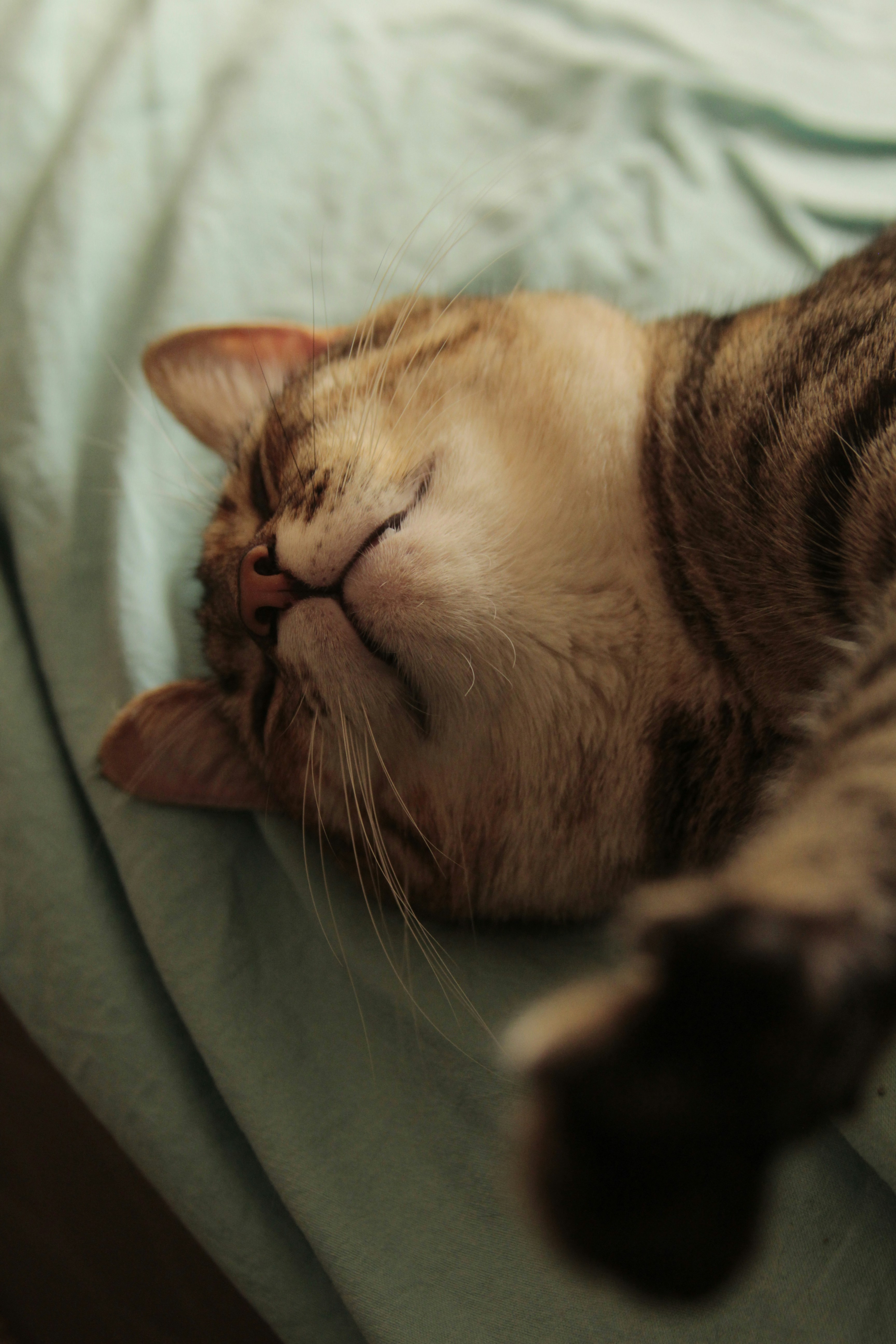 Photo by giisilveira