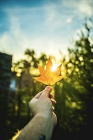A customer happily testing a leaf blower on a bright afternoon.
