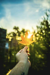 An open hand releasing autumn leaves into a gentle breeze against a clear sky.