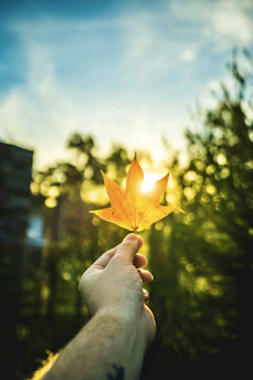 An open hand releasing autumn leaves into a gentle breeze against a clear sky.