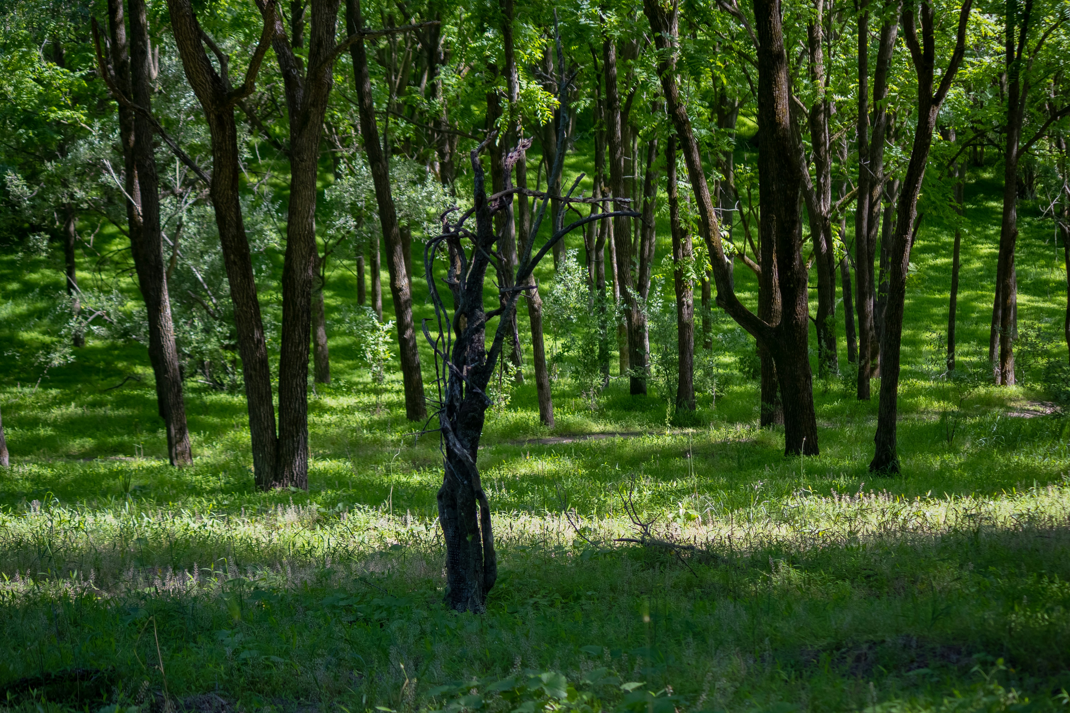 Photo by rachelaphotographer