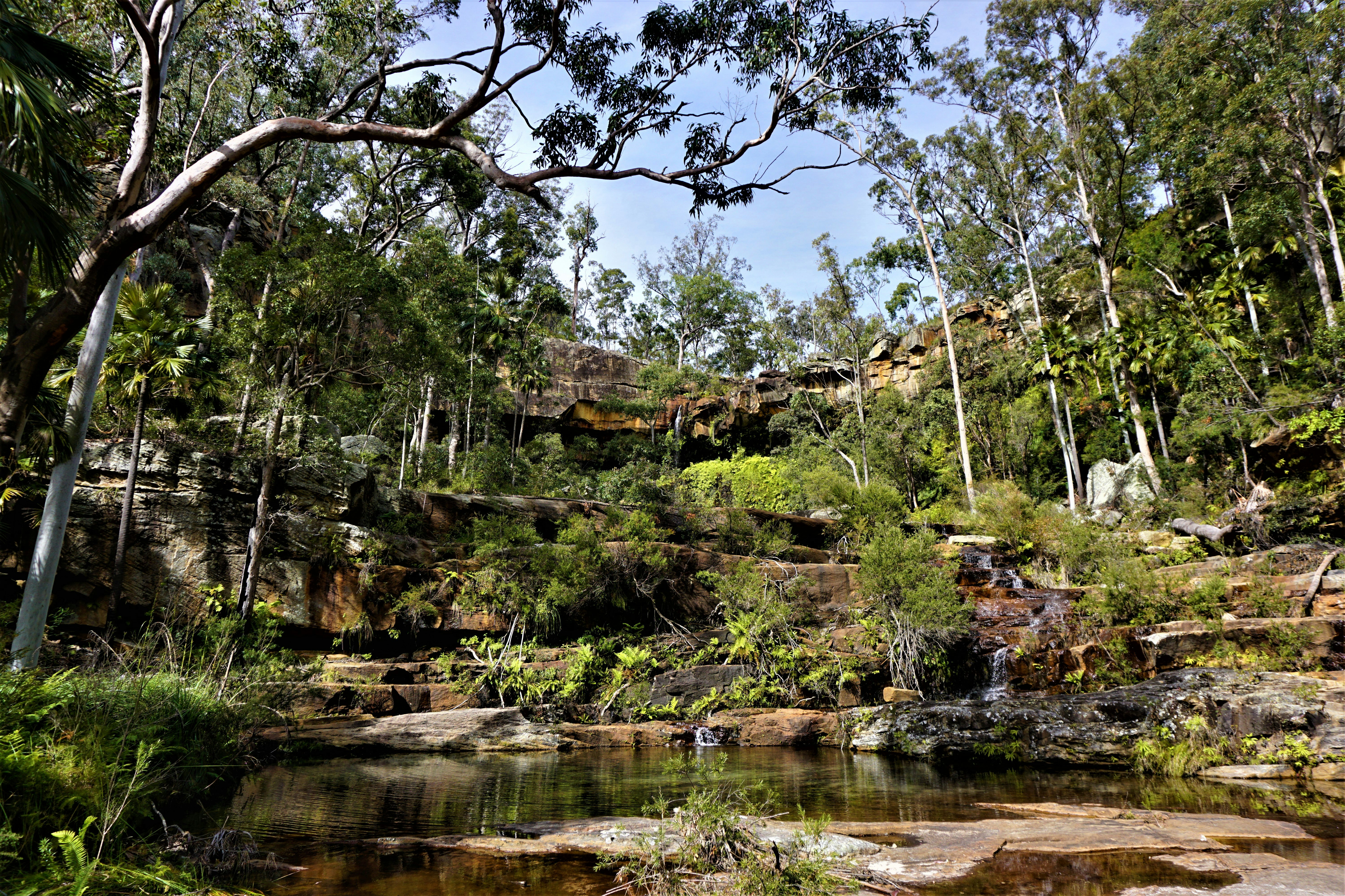 Blackdown, Queensland