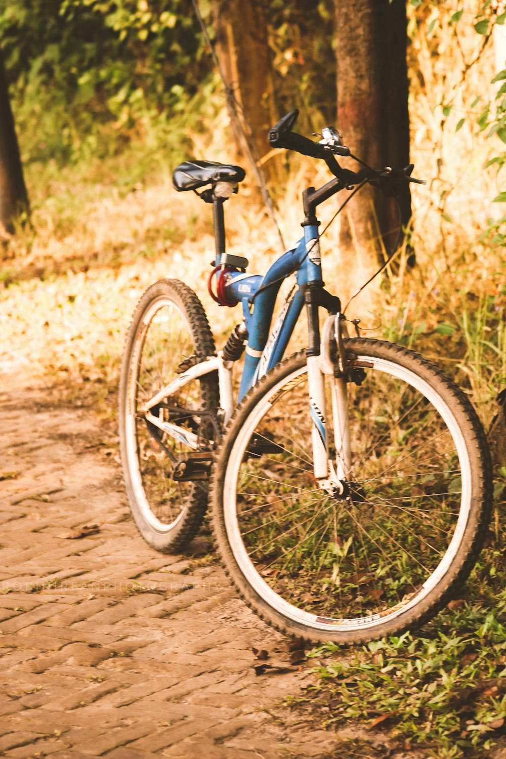 blue and black mountain bike on brown dirt road during daytime