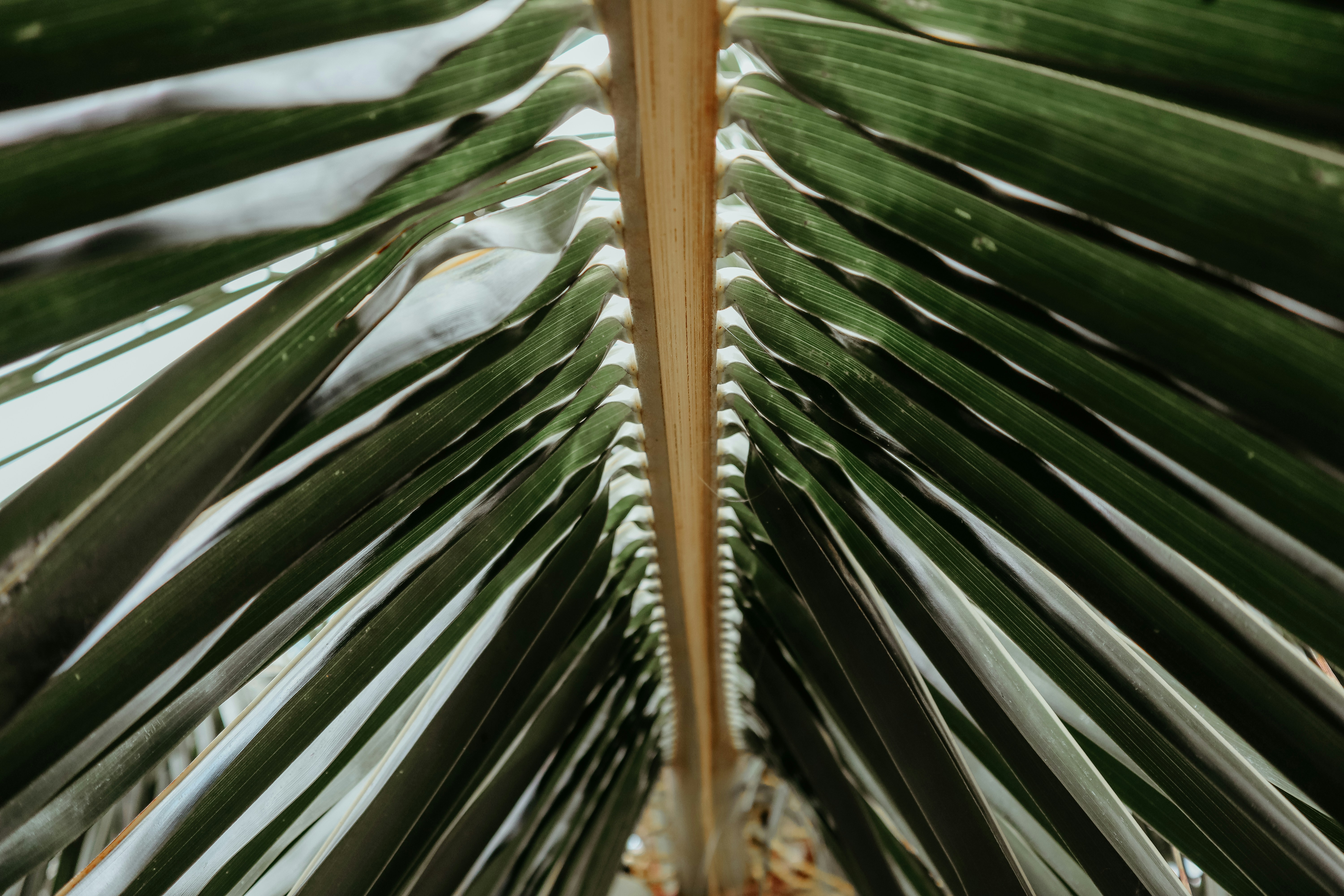 Photo by andrrewphoto