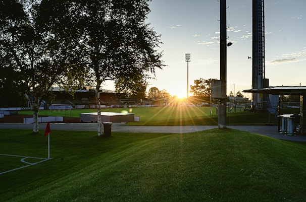 Softball field bathed in golden hour light, with blue banners fluttering in the breeze.