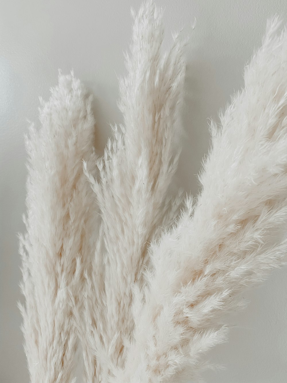 white fur textile on white surface