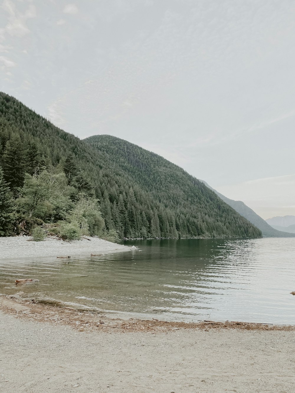 green trees near body of water during daytime