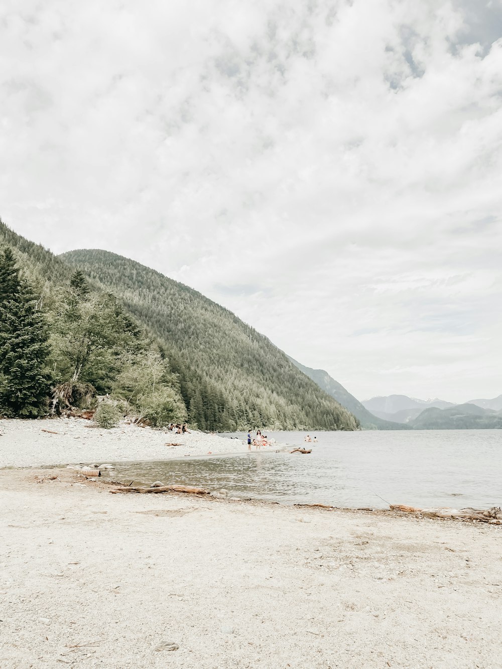 people on beach during daytime