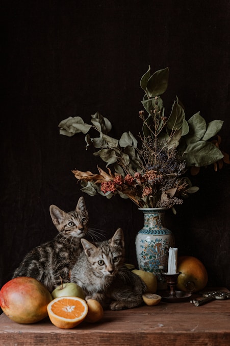 brown tabby cat beside green plant