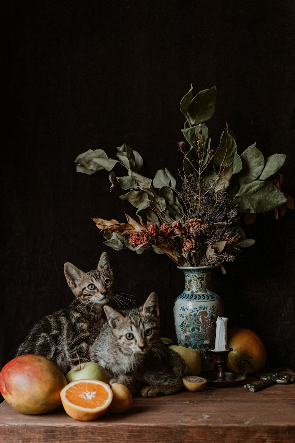 gato atigrado marrón junto a una planta verde